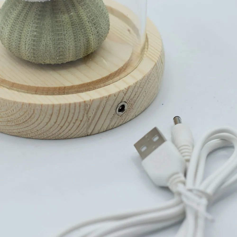 Cupola da Giardino Floral Glow – 3 Ricci di Mare – LED USB