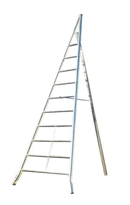 scala singola per agricoltura 'agri' 6 gradini - h. 250 cm