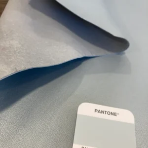 Pelle azzurra chiara- 23€