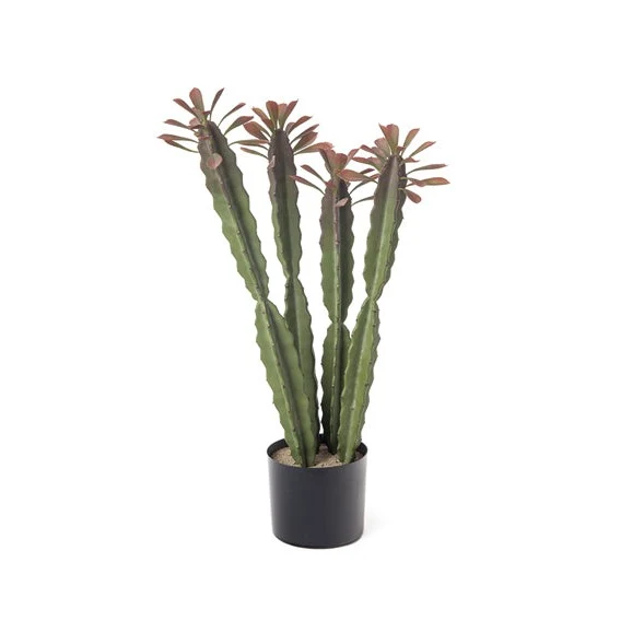 PIANTA CACTUS BRUCO | con vaso | 80cm
