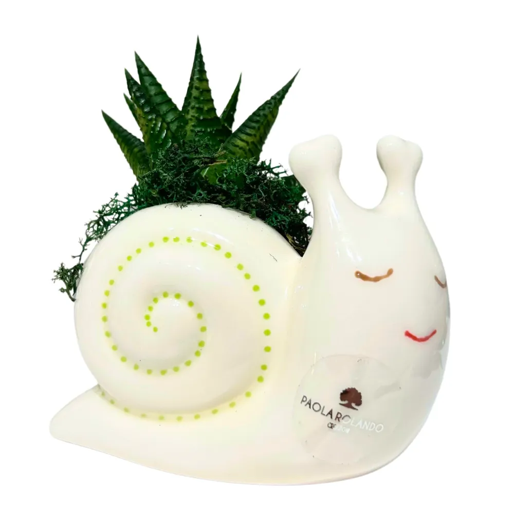 PIANTA GRASSA LUMACA PAOLA ROLANDO | vaso ceramica | 12x6x12cm