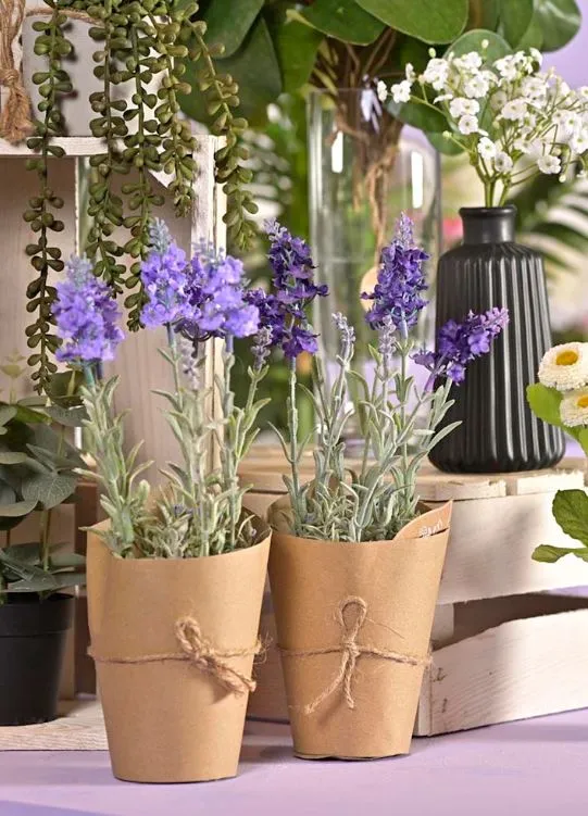 MAGNUS Piantina sacchetto lavanda c/piantina