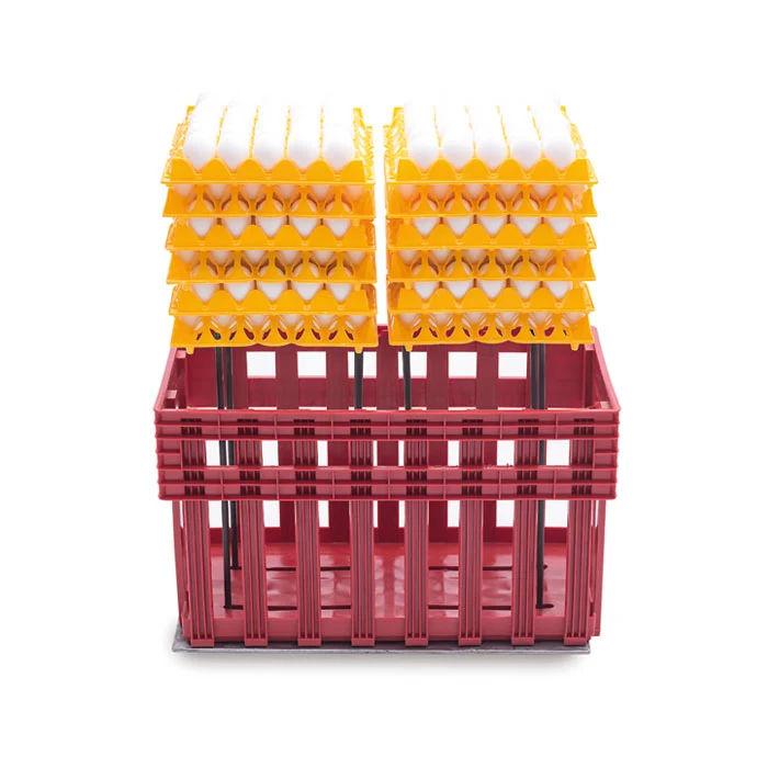 PIATTAFORMA CARICO SCARICO CASSETTA UOVA PLASTICA EGGS T