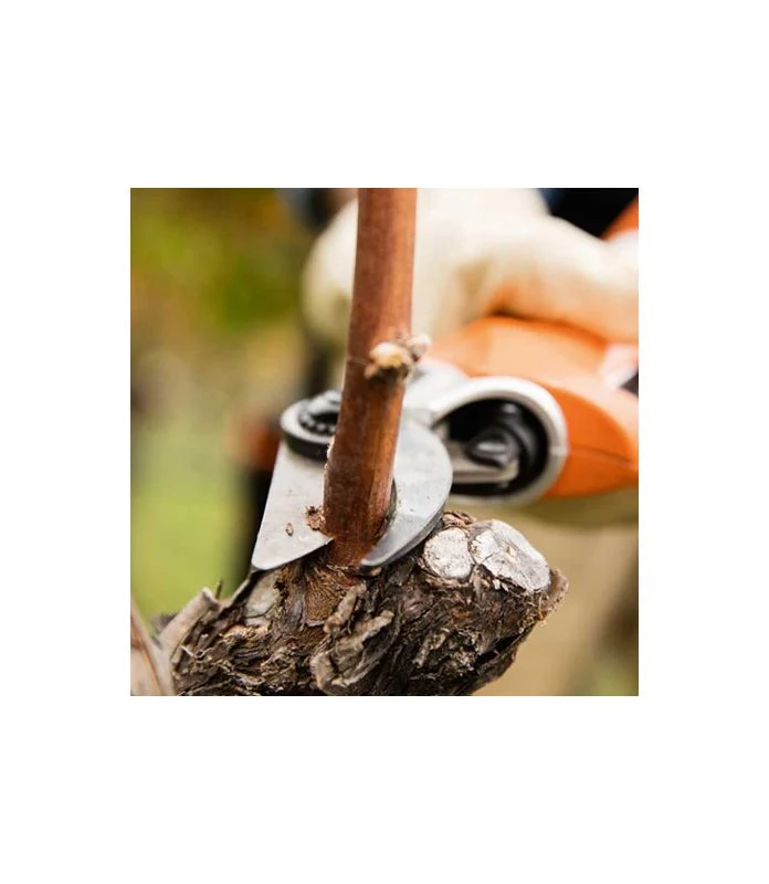 Stihl - Cesoia Batteria Asa 85