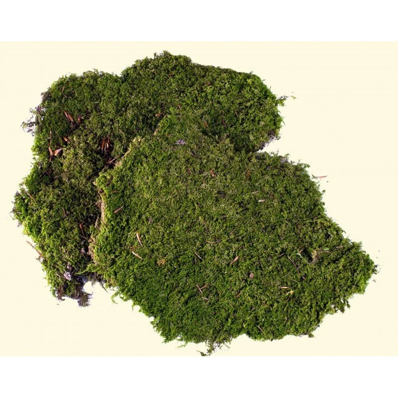 Muschio naturale tappeto 350 gr. per presepe