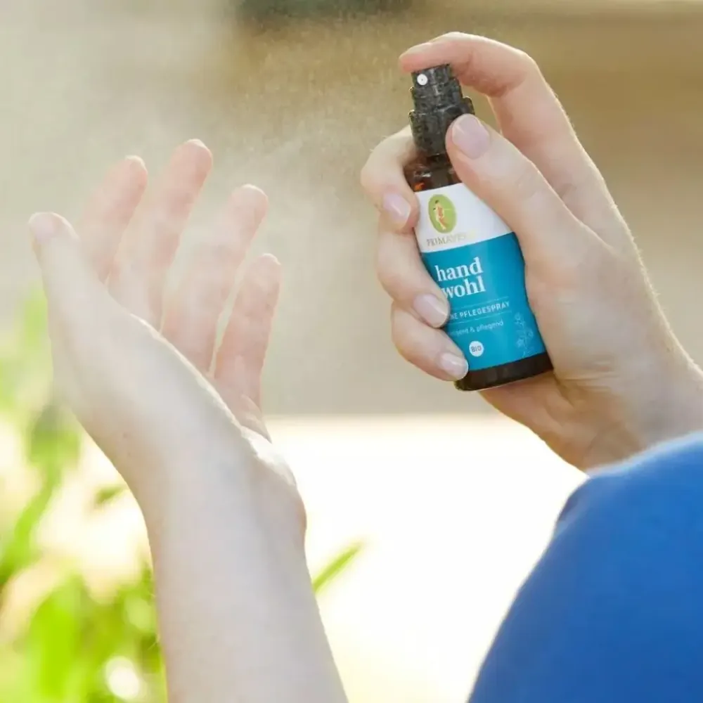 Spray Igienizzante e Curativo Handwohl