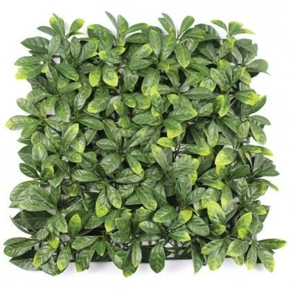 x4 pz Lauro finta siepe CERASO PLUS 50X50 cm 48658
