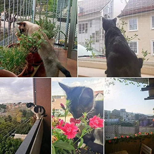 Focuspet Rete Protettiva per Gatti, 3X8M di Sicurezza Animali ...