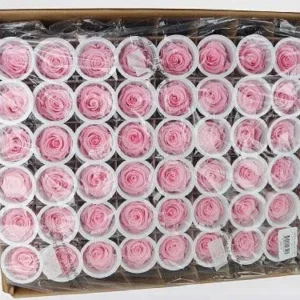 Rose stabilizzate Kiara 6 cm - € 1,80/rosa sfusa 432 pezzi - Bridal Pink