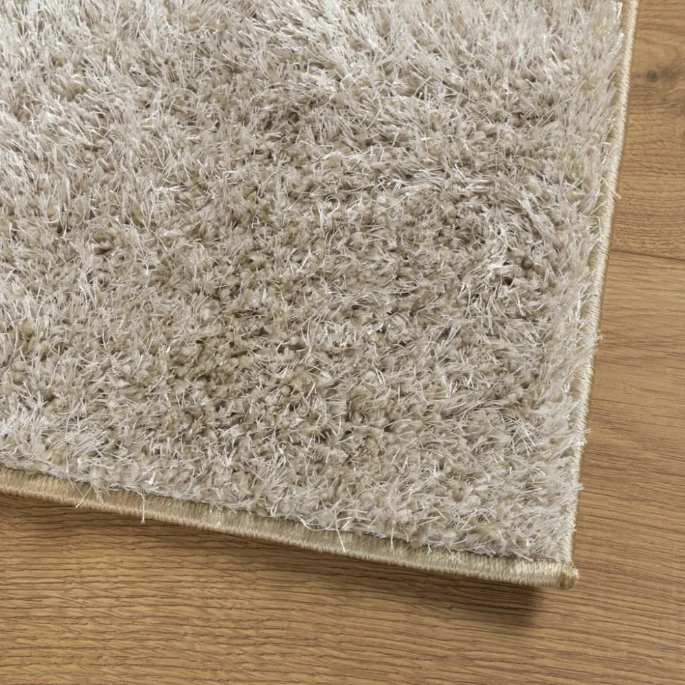 Tappeto Pelo Lucido Ampio ISTAN Effetto Beige 80x150 cm