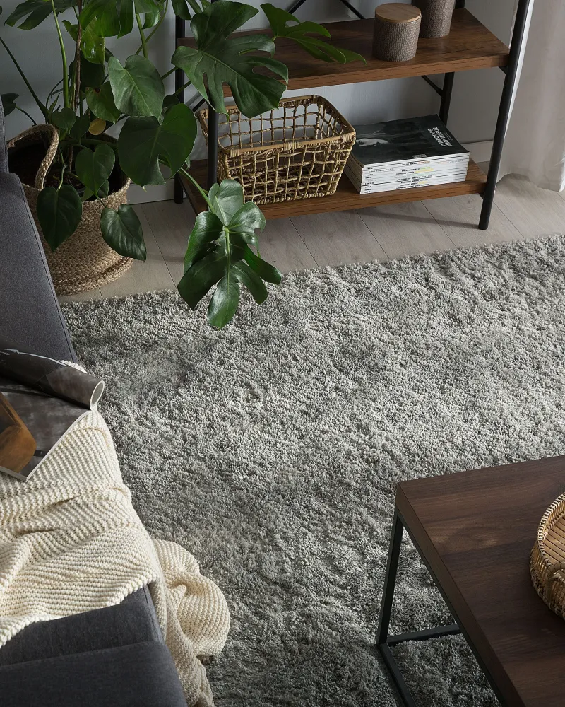 Tappeto shaggy grigio evidente 200 x 300 cm EVREN
