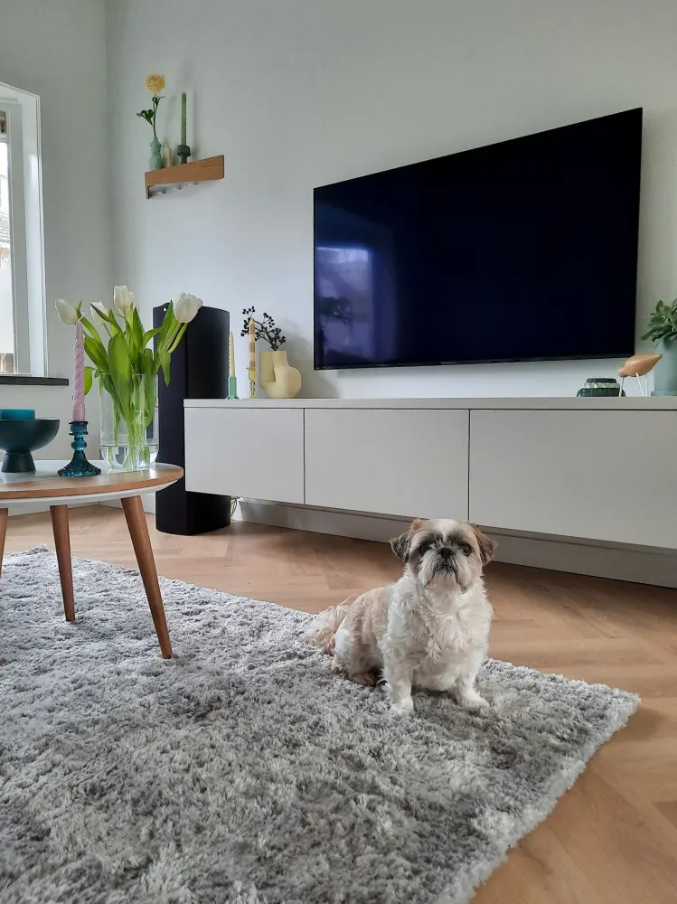 Tappeto shaggy grigio evidente 200 x 300 cm EVREN