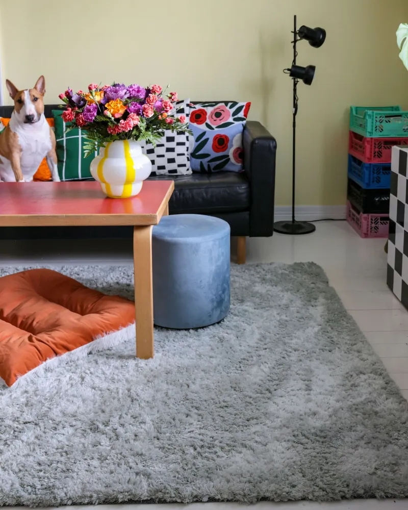 Tappeto shaggy grigio trasparente 160 x 230 cm EVREN