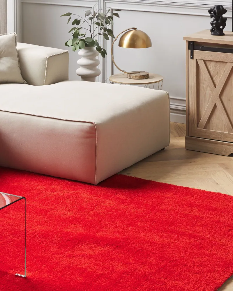 Tappeto shaggy rosso 140 x 200 cm DEMRE