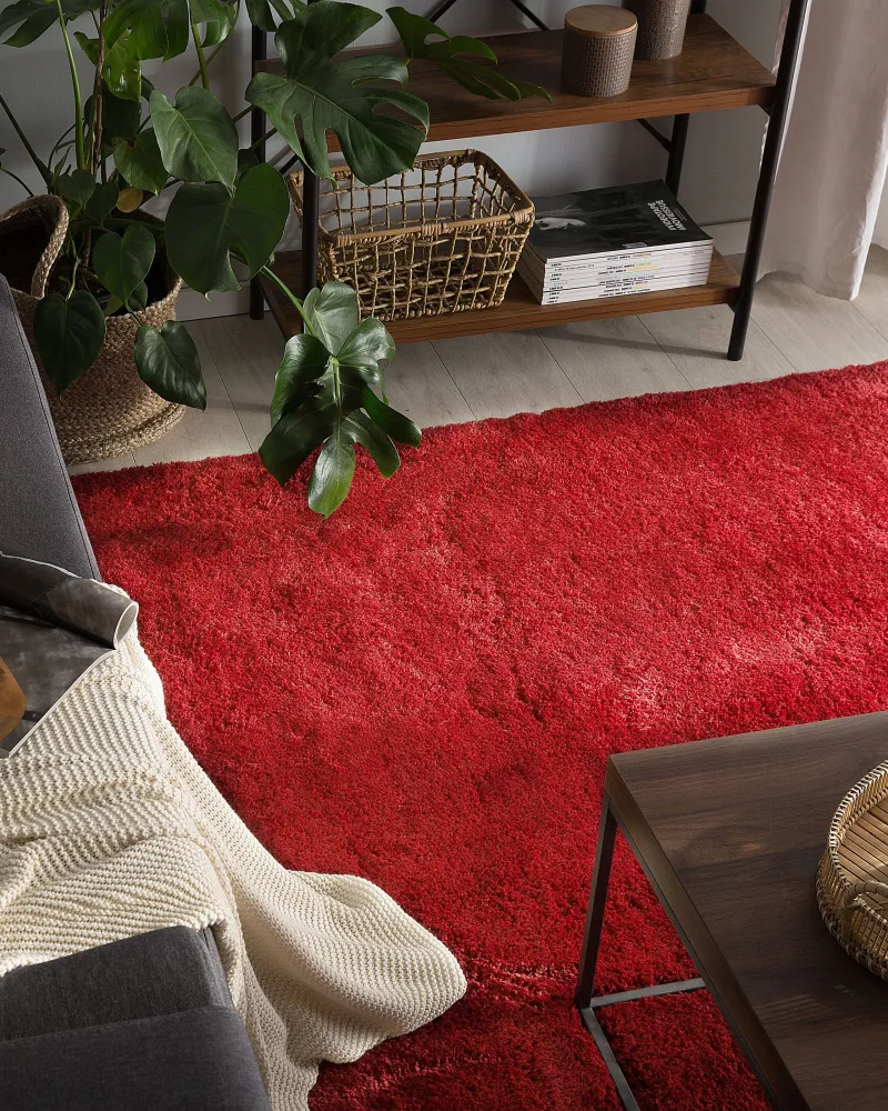 Tappeto shaggy rosso 140 x 200 cm EVREN