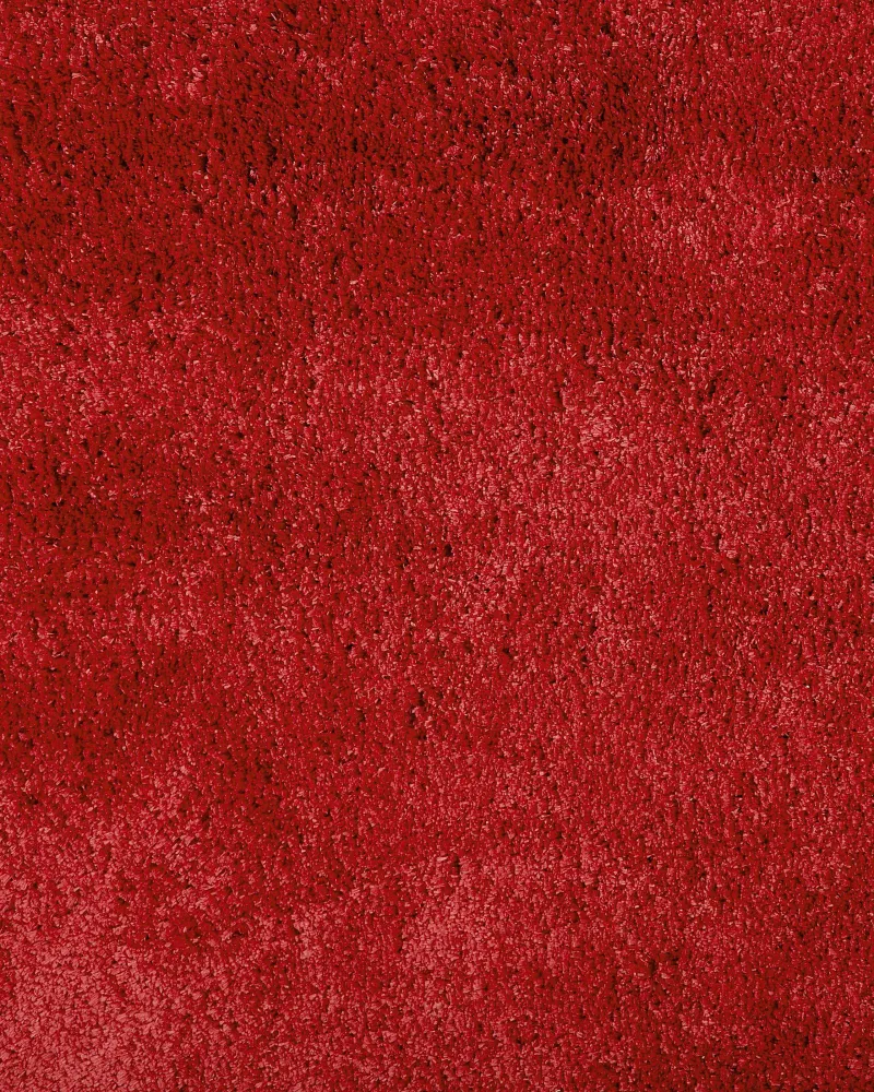 Tappeto shaggy rosso 80 x 150 cm EVREN