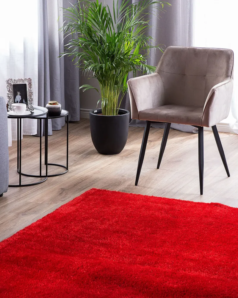 Tappeto shaggy rosso 160x230 cm DEMRE