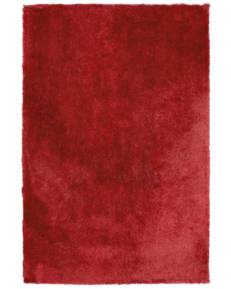 Tappeto shaggy rosso 200 x 300 cm EVREN