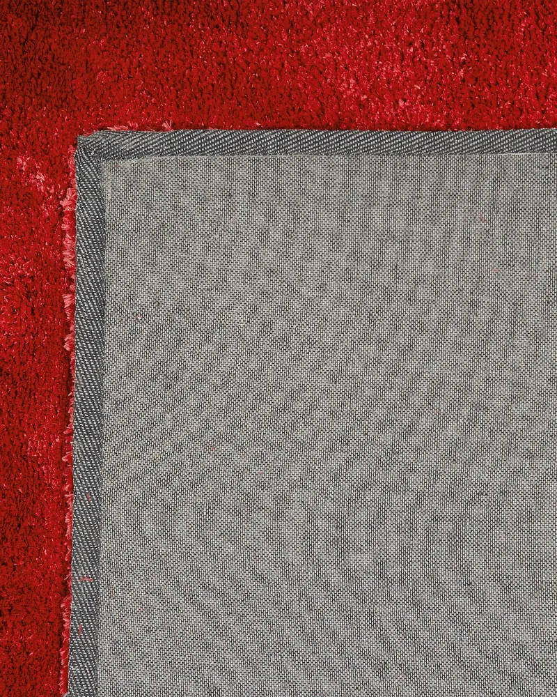 Tappeto shaggy rosso 200 x 300 cm EVREN