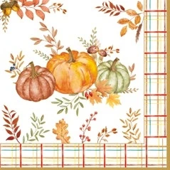 Confezione 20 tovaglioli carta 33x33 Harvest