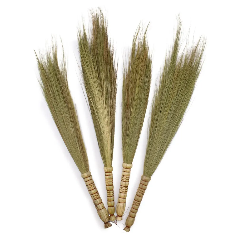 Set di 4 scope di erba della Pampas naturale