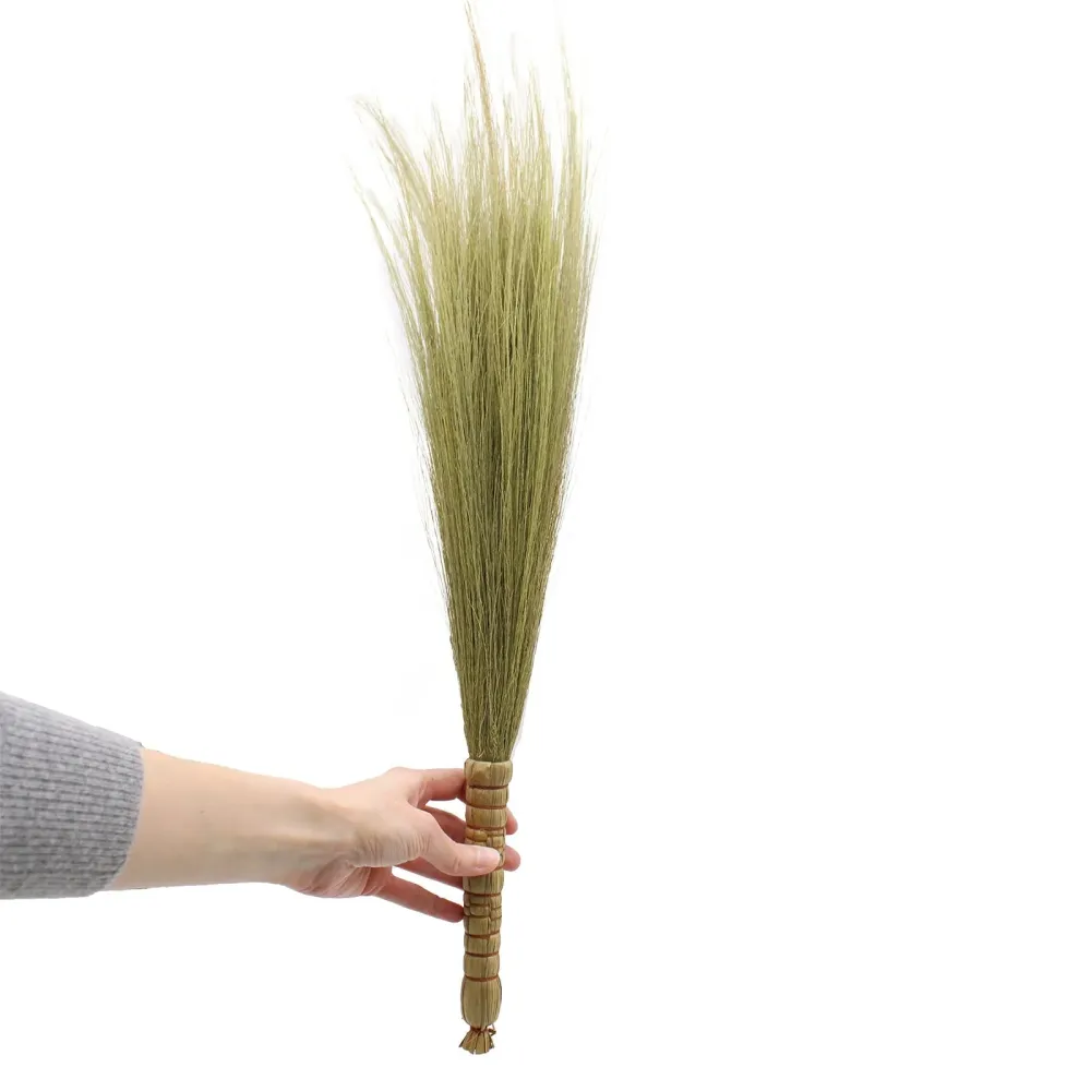Set di 4 scope di erba della Pampas naturale