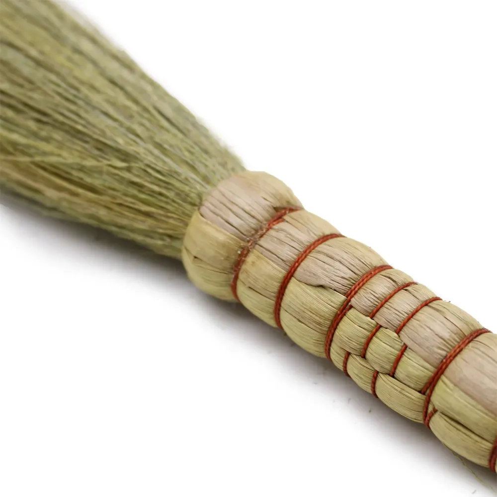 Set di 4 scope di erba della Pampas naturale
