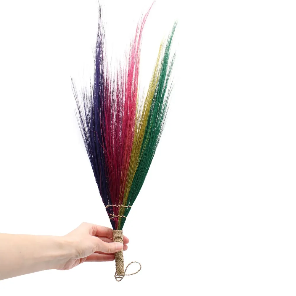 Set di 4 scope di erba di pampas colori arcobaleno