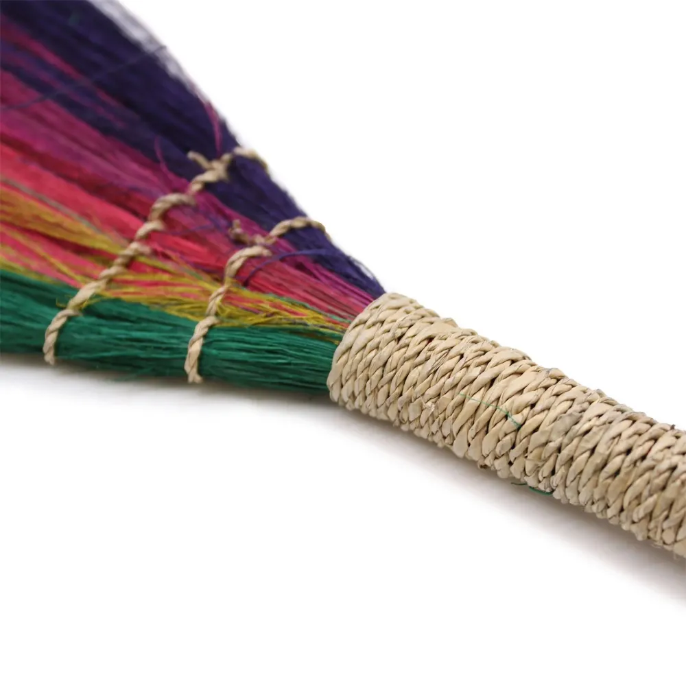 Set di 4 scope di erba di pampas colori arcobaleno