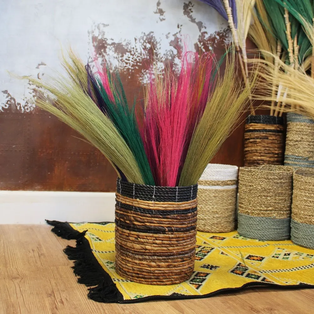 Set da 4 Scopini Lunghi Erba di Pampas Colori Vivaci