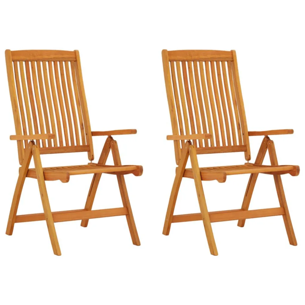 Sedie da Giardino Pieghevoli 2pz Legno Massello di Eucalipto