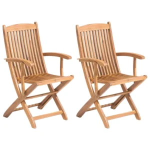 Set di 2 sedie da giardino MAUI Legno d'acacia Legno palese