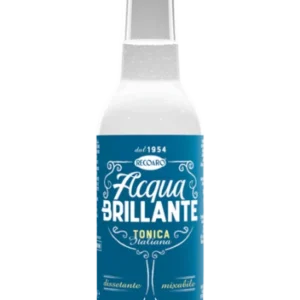 Acqua Brillante Recoaro 0,20 L x 24 BT *VAP