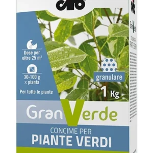 Cifo 1kg concime granulare per piante verdi
