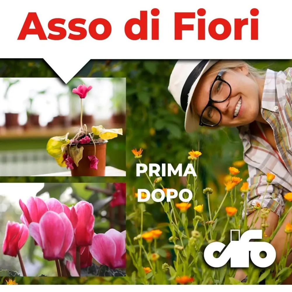 Cifo Asso di Fiori – Concime polvere piante verdi e fiorite kg.1