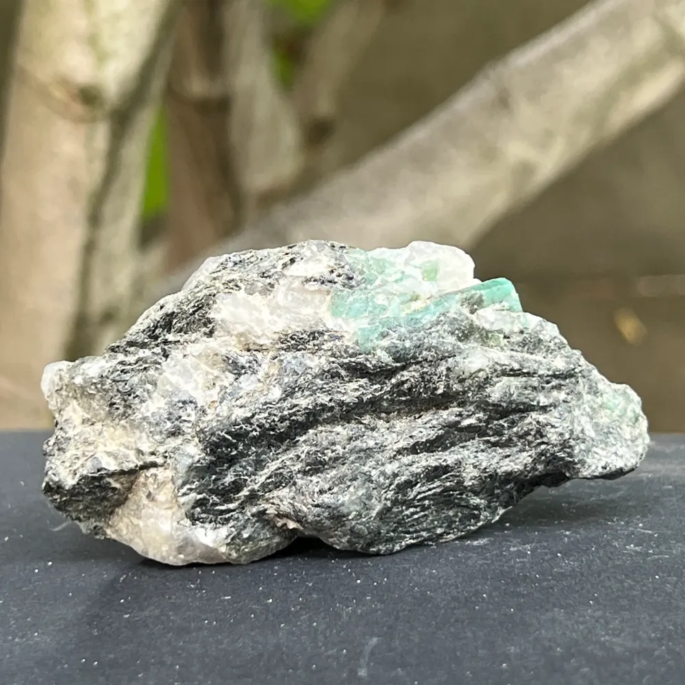 Columbia matrix smeraldo m6