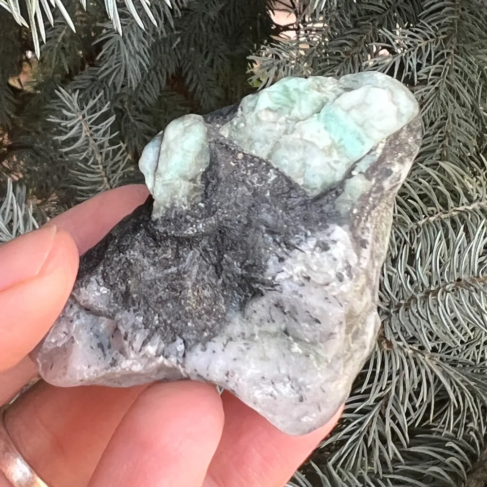 Columbia matrix smeraldo m2