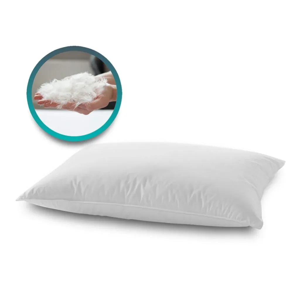 Coppia Cuscini piuma d'oca e piumino soffici con cover cotone alti 15 cm