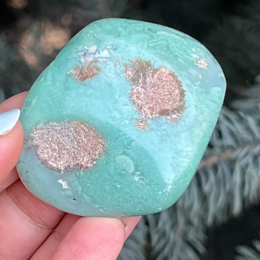 Crisoprase palma di smeraldo modello 18 dallo Zimbabwe