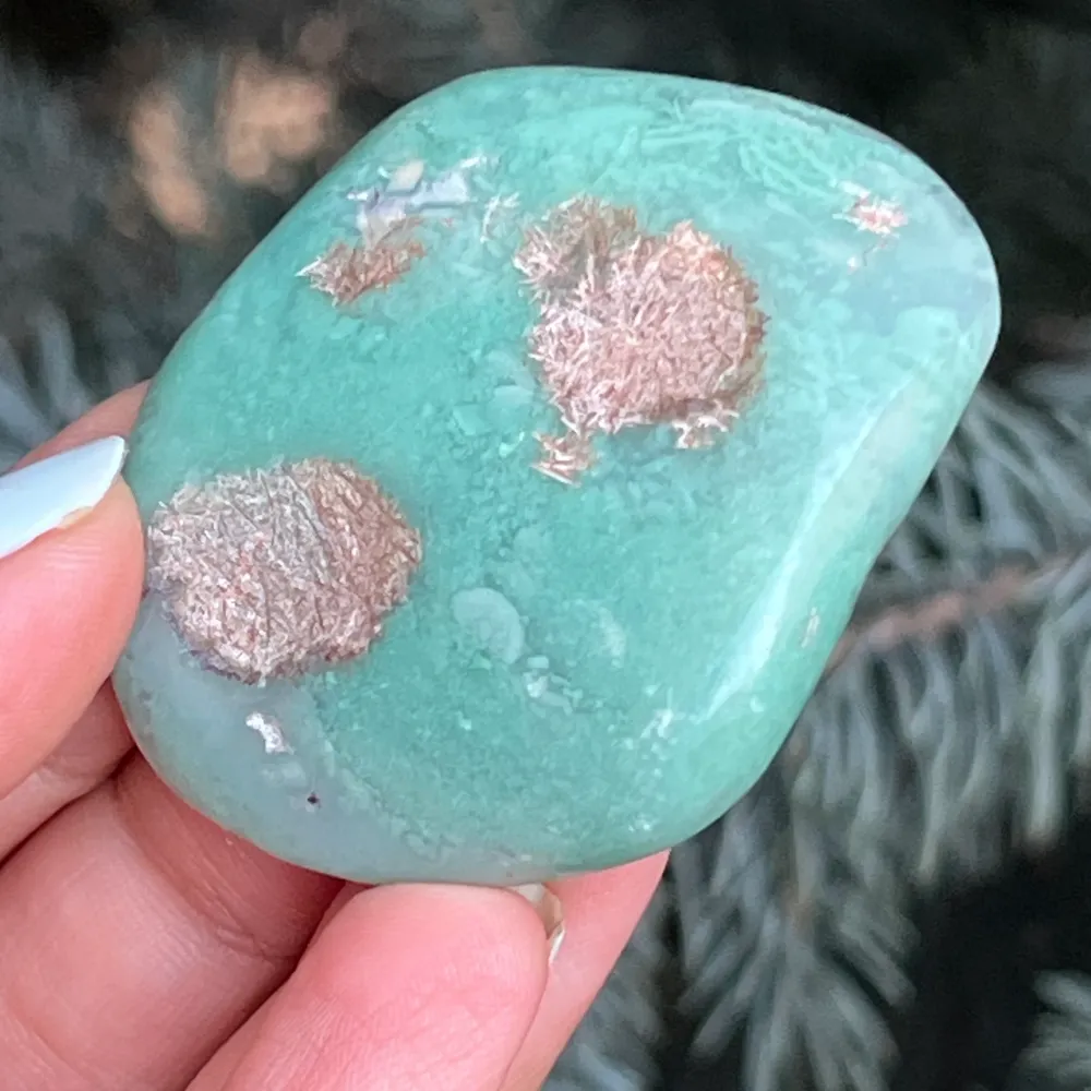 Crisoprase palma di smeraldo modello 18 dallo Zimbabwe
