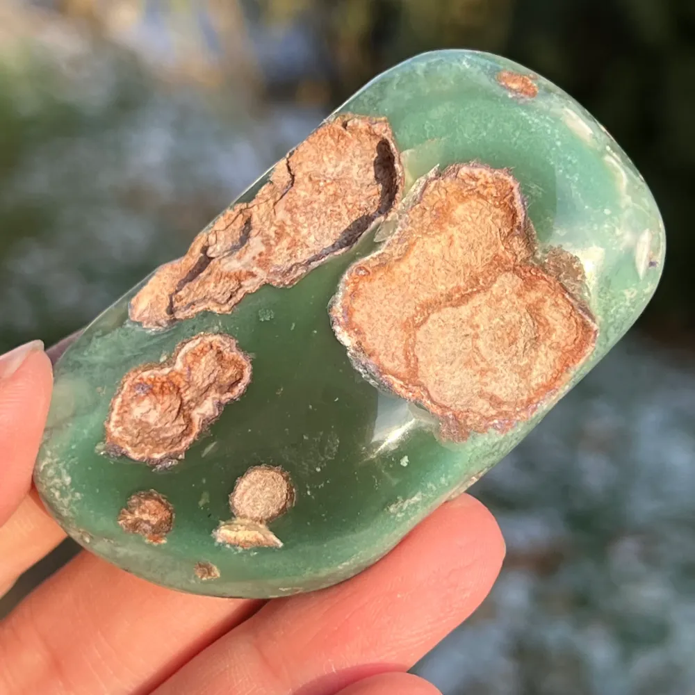 Crisoprase palma di smeraldo modello 4 dallo Zimbabwe