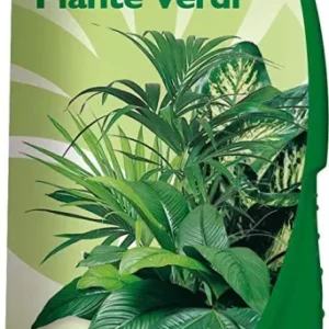GESAL 2676202005 Concime per Piante Verdi, 1 l, Verde, 26.5x7x8.9 cm