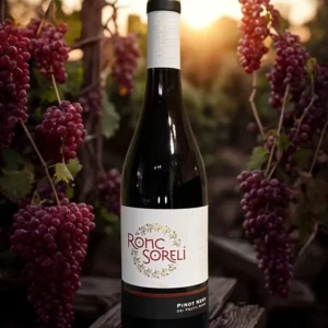 PINOT NERO DEI FRUTTI ROSSI