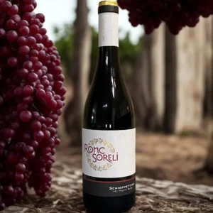SCHIOPPETTINO DEI FRUTTI ROSSI