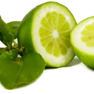 Verdello di Sicilia Limoni Verdi Siciliani con Buccia Edibile Senza Semi non Cerati 5kg Il Melograno Peloritano