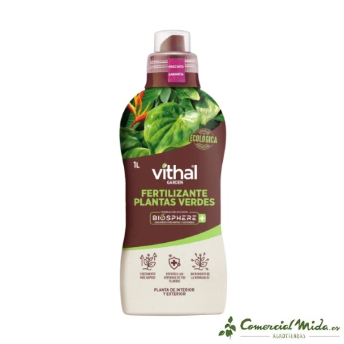 VITHAL GARDEN BIOSPHERE+ PIANTE VERDI
