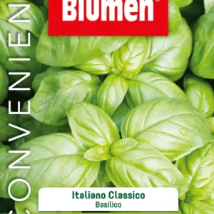 Semi Basilico Italiano Classico