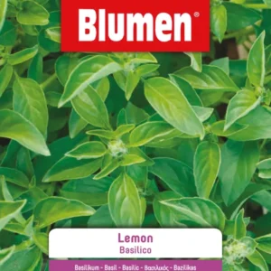 Semi Basilico Lemon