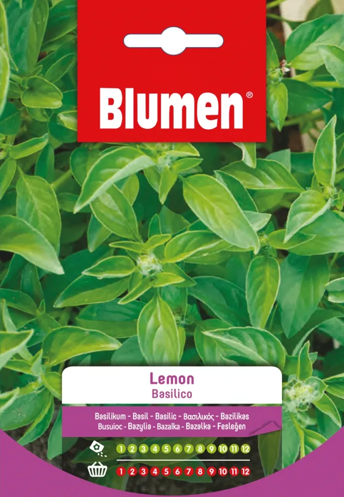 Semi Basilico Lemon