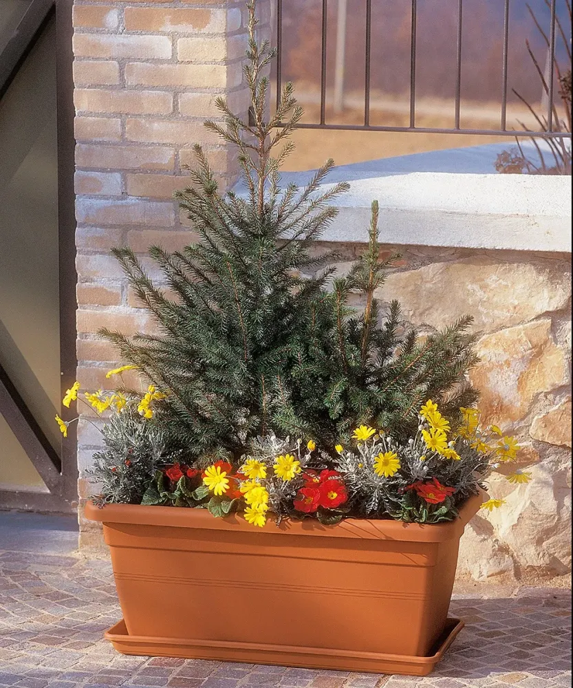 CASSETTA AKEA CM.60X31X40H TERRACOTTA